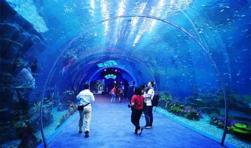 海洋之眼爆料视频大全,视频大全深度解析  第1张